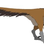 Dakotaraptor (Male)