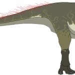 Pachycephalosaurus (Female)