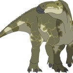 Edmontosaurus (Female)