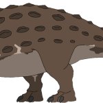 Ankylosaurus (Female)