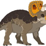 Triceratops (Male)