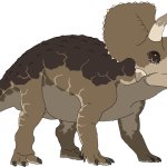 Triceratops (Female)