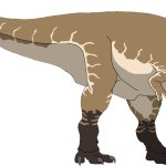 Tyrannosaurus Rex (Male)