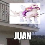 Juan | JUAN | image tagged in juan,pokemon | made w/ Imgflip meme maker
