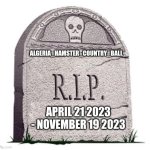 RIP | ALGERIA_HAMSTER_COUNTRY_BALL; APRIL 21 2023 - NOVEMBER 19 2023 | image tagged in rip | made w/ Imgflip meme maker
