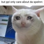 Real | Wen u mak the pefect meme but ppl only care about da spelinn: | image tagged in crying cat | made w/ Imgflip meme maker