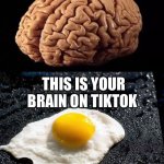 This is your brain | THIS IS YOUR BRAIN; THIS IS YOUR BRAIN ON TIKTOK | image tagged in this is your brain,tiktok,tiktok sucks | made w/ Imgflip meme maker