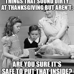 Things That Sound Dirty At Thanksgiving (Part 9) | THINGS THAT SOUND DIRTY AT THANKSGIVING BUT AREN'T:; ARE YOU SURE IT'S SAFE TO PUT THAT INSIDE? | image tagged in turkey stuffing,funny,humor,fun,double entendre | made w/ Imgflip meme maker