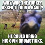 Turkey Humor | WHY WAS THE TURKEY ASKED TO JOIN A BAND? HE COULD BRING HIS OWN DRUMSTICKS. | image tagged in dad joke,humor,funny,turkey,jokes | made w/ Imgflip meme maker