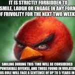 please boost | IT IS STRICTLY FORBIDDEN TO SMILE, LAUGH OR ENGAGE IN ANY FORM OF FRIVOLITY FOR THE NEXT TWO WEEKS. SMILING DURING THIS TIME WILL BE CONSIDERED A PUNISHIBLE OFFENSE, AND THOSE FOUND IN VIOLATION OF THIS RULE WILL FACE A SENTENCE OF UP TO 5 YEARS IN JAIL. | image tagged in realistic angry birds | made w/ Imgflip meme maker