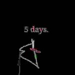 5 Days