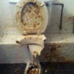Toilet at taco bell