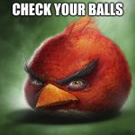 check them right now | CHECK YOUR BALLS | image tagged in i have kids in my basement,fun,funny,gif,meme,memes | made w/ Imgflip meme maker