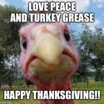 turkey | LOVE PEACE AND TURKEY GREASE; HAPPY THANKSGIVING!! | image tagged in turkey | made w/ Imgflip meme maker