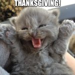 Happy Thanksgiving! | TODAY IS THANKSGIVING! HAPPY TURKEY DAY! | image tagged in yay kitty,happy thanksgiving,thanksgiving,cats | made w/ Imgflip meme maker