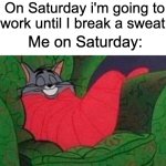 tom the cat sleeping | On Saturday i'm going to work until I break a sweat. Me on Saturday: | image tagged in tom the cat sleeping | made w/ Imgflip meme maker