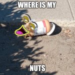 Asking for a friend | WHERE IS MY; NUTS | image tagged in that my name | made w/ Imgflip meme maker