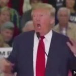Trump Retard Disabled Antic Deplorable JPP GIF Template
