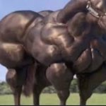 Buff horse