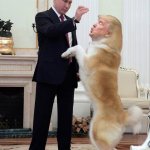 Putin master Trump dog pet useful idiot for Russians since 1980
