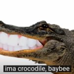 ima crocodile, baybee