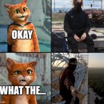 Gato meet Shiey | OKAY; WHAT THE... | image tagged in gato,shiey,lattice climbing,puss in boots,tower,template | made w/ Imgflip meme maker