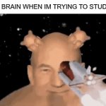 why | MY BRAIN WHEN IM TRYING TO STUDY: | image tagged in gifs,brain | made w/ Imgflip video-to-gif maker