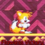 Flawless | Flawless Victory | image tagged in gifs,sonic the hedgehog | made w/ Imgflip video-to-gif maker