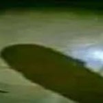 anaconda