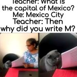 me irl | Teacher: What is the capital of Mexico?
Me: Mexico City; Teacher: Then why did you write M? | image tagged in stupid cat,dive | made w/ Imgflip meme maker