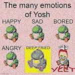 Many emotions of yoshi