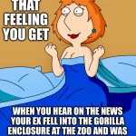 Just desserts | THAT FEELING YOU GET; WHEN YOU HEAR ON THE NEWS YOUR EX FELL INTO THE GORILLA ENCLOSURE AT THE ZOO AND WAS
“PEELED AND EATEN LIKE A BANANA” | image tagged in family guy,ex boyfriend,ex girlfriend,memes,break up,justice | made w/ Imgflip meme maker
