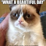 Grumpy Cat | ONCE I THOUGHT “WHAT A BEAUTIFUL DAY”; I ALMOST FAINTED | image tagged in memes,grumpy cat | made w/ Imgflip meme maker