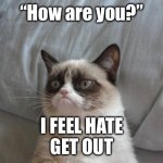 Grumpy Cat is in bad mood… Wait, she’s always in bad mood!!! | “How are you?”; I FEEL HATE
GET OUT | image tagged in memes,grumpy cat bed,grumpy cat | made w/ Imgflip meme maker