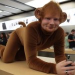 Monkey Ed Sheeran meme