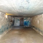 auschwitz gas chamber