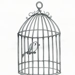 bird trapped in a cage template