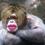 trans monkey