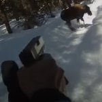 man shoots moose with his glock after being attacked