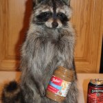 Peanut Butter Raccoon Admonishing Racism