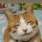 Happy cat | INTROVERTS WHEN THEY'RE UNDER HOUSE ARREST | image tagged in happy cat,memes | made w/ Imgflip meme maker
