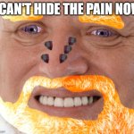 Path of Pain Harold | I CAN'T HIDE THE PAIN NOW | image tagged in path of pain harold | made w/ Imgflip meme maker