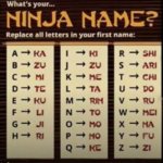 Ninja name | image tagged in ninja name,ninja,name | made w/ Imgflip meme maker