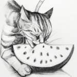 Cat eating watermelon