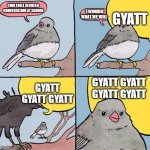 am i right about this | GYATT; TIME FOR A REGULAR CONVERSATION AT SCHOOL; I WONDER WHAT WE WILL-; GYATT GYATT GYATT GYATT; GYATT GYATT GYATT | image tagged in interrupting bird,gyatt,annoying,relatable,bruh | made w/ Imgflip meme maker