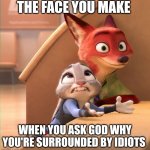 Judy's Stupidity Intolerance | THE FACE YOU MAKE; WHEN YOU ASK GOD WHY YOU'RE SURROUNDED BY IDIOTS | image tagged in judy hopps size matters,zootopia,judy hopps,nick wilde,the face you make when,funny | made w/ Imgflip meme maker