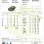 Cannabis coa
