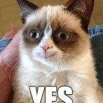 grumpy cat is not mad now | YES | image tagged in memes,grumpy cat happy,grumpy cat,yes | made w/ Imgflip meme maker