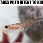 stares with intent to krill