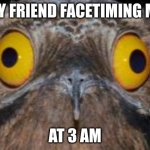 birb | MY FRIEND FACETIMING ME; AT 3 AM | image tagged in birb | made w/ Imgflip meme maker